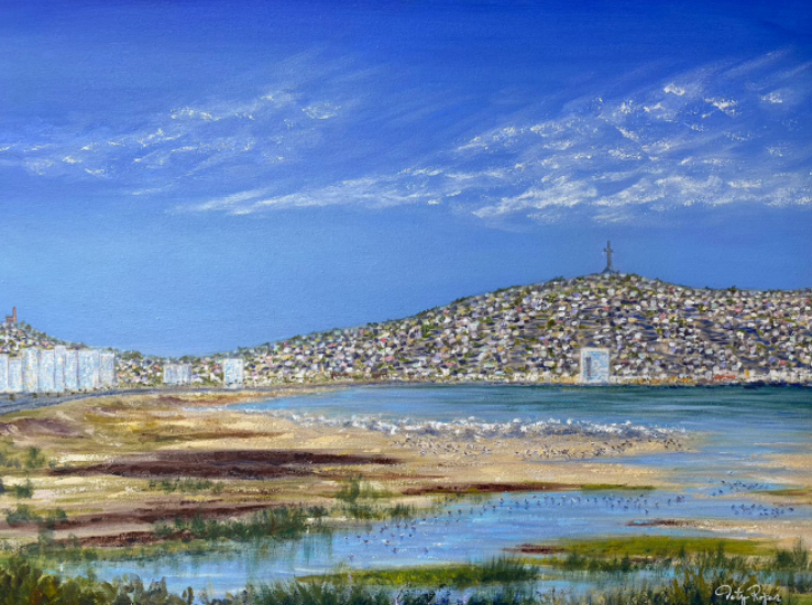 Coquimbo desde su humedal
